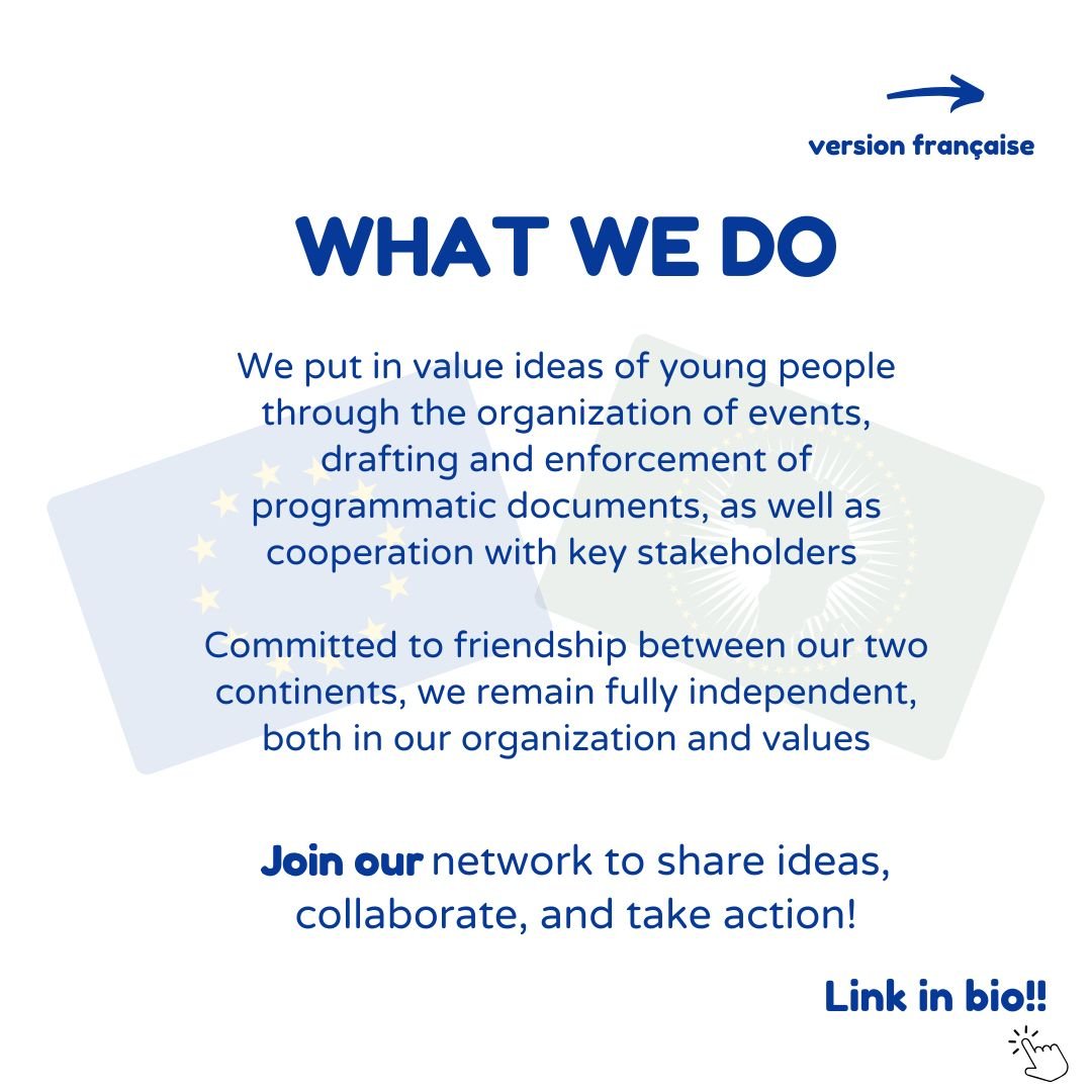 The Africa – Europe Youth Core Group